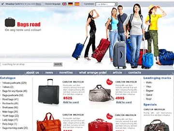 Ecommerce Website Development Lucknow